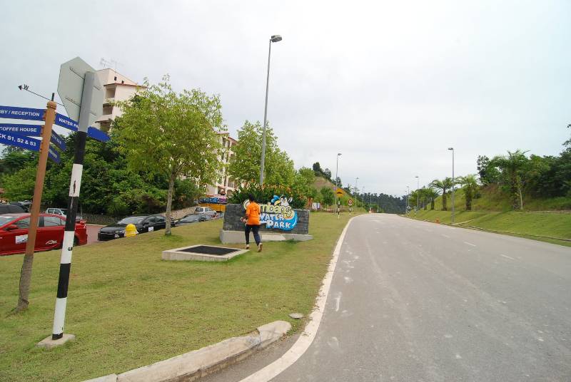 DSC 6451